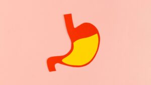 胃袋のイラスト