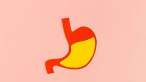 胃袋のイラスト