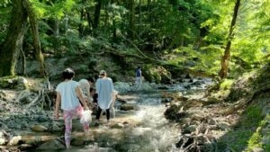 白州の沢を歩く女性たち