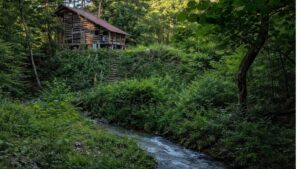 Human BeING Hakushu ログハウス外観