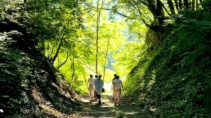 光の方へ歩く女性たち。森の中
