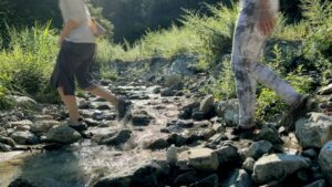 小川の綺麗な水