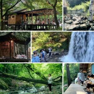 Human BeINGの風景