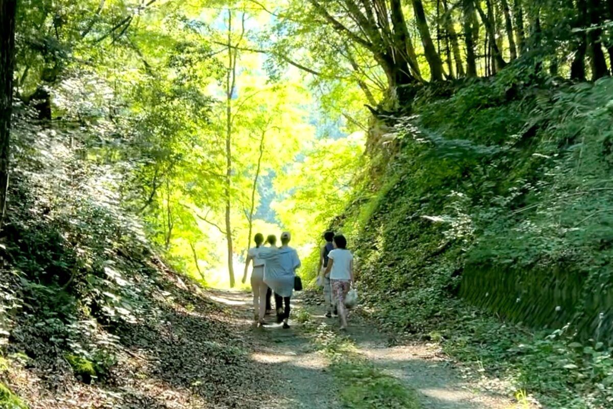 沢&滝2023エアビー5