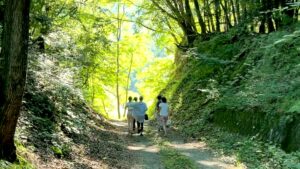 森を歩く受講生たち